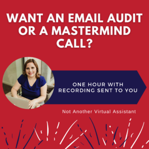 One Hour Email Audit or Mastermind Meeting